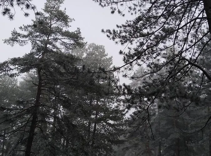 Apartment Libra Zlatibor