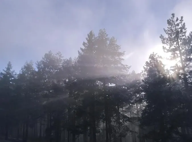 Apartment Libra Zlatibor